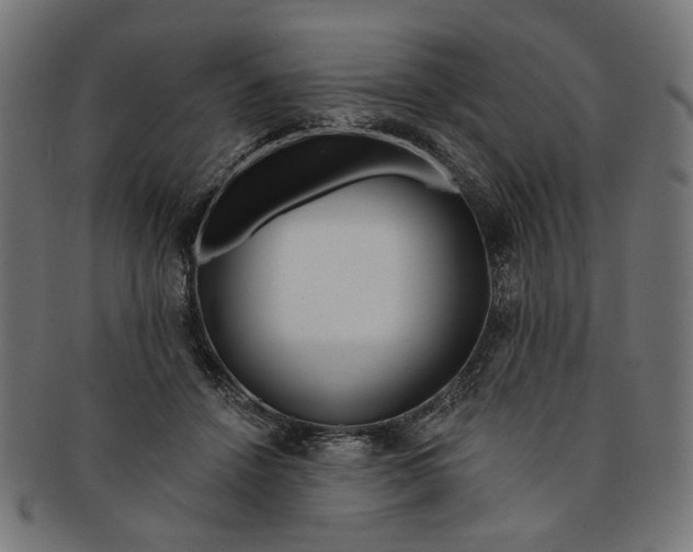 X0000091190456200709061017