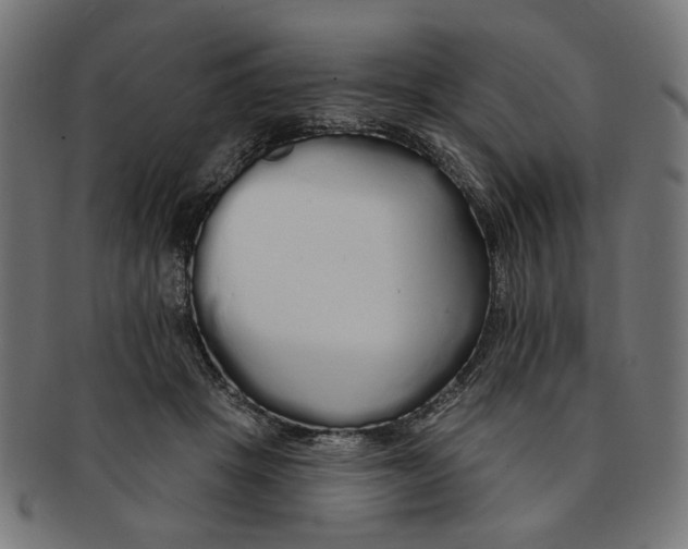 X0000091190457200709061017