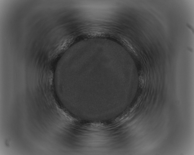 X0000091190458200709061017