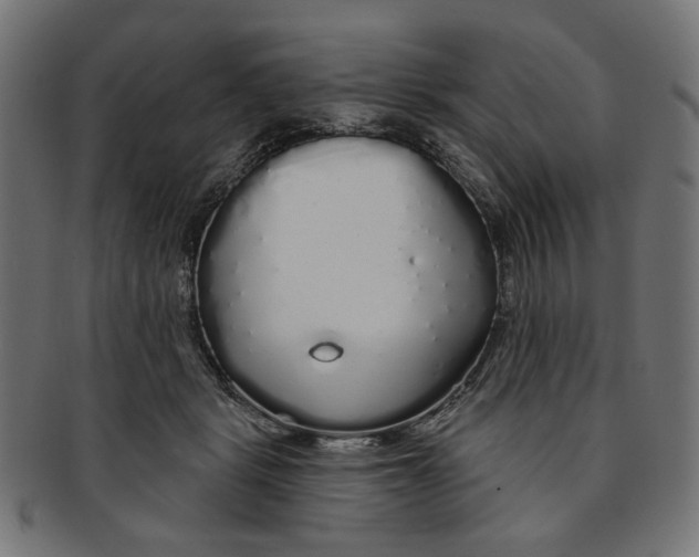 X0000091190461200709061017