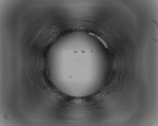 X0000091190464200709061017