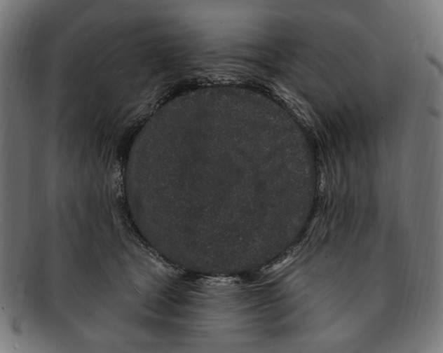 X0000091190465200709061017