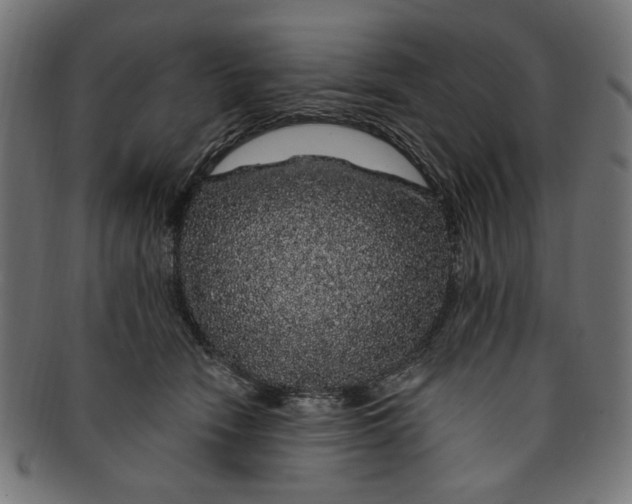 X0000091190466200709061017