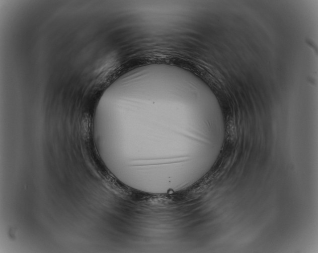 X0000091190468200709061017