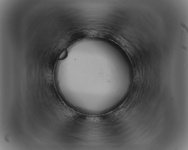 X0000091190469200709061017