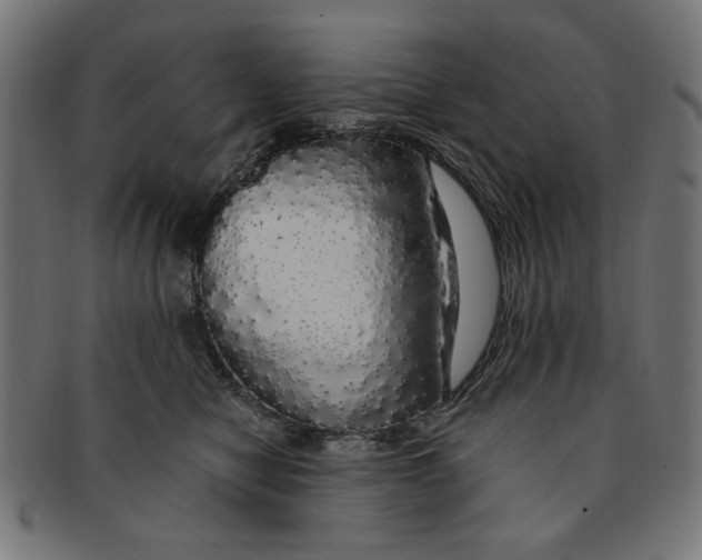 X0000091190470200709061017