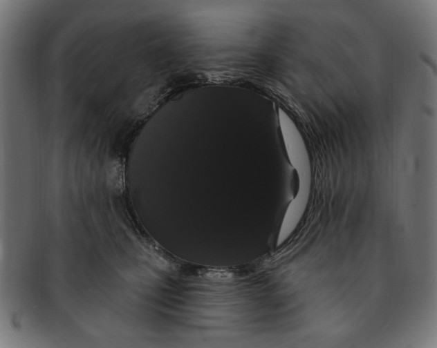 X0000091190471200709061017