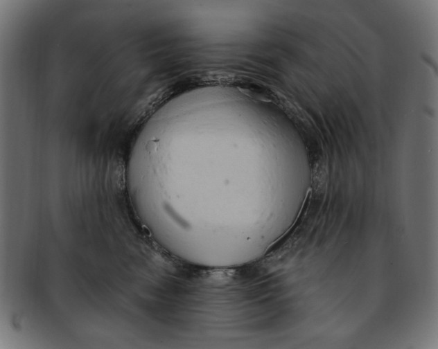 X0000091190474200709061017