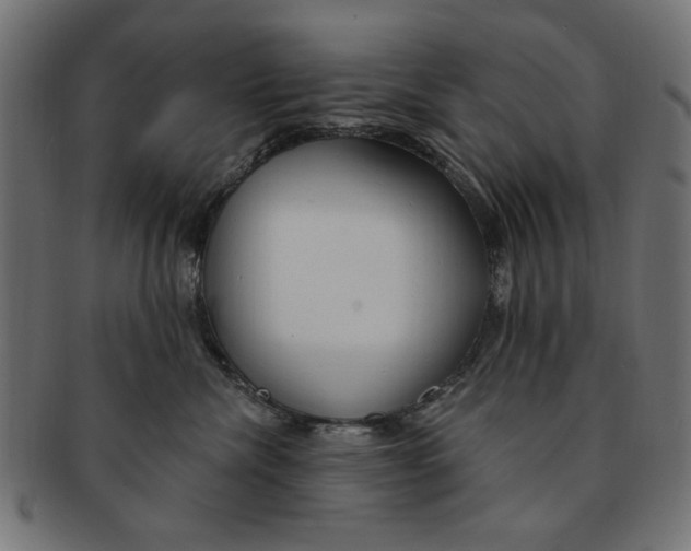 X0000091190476200709061017