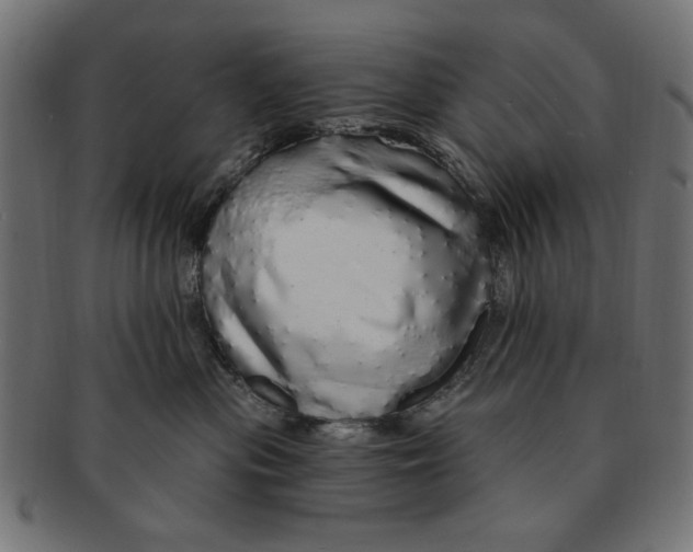 X0000091190477200709061017