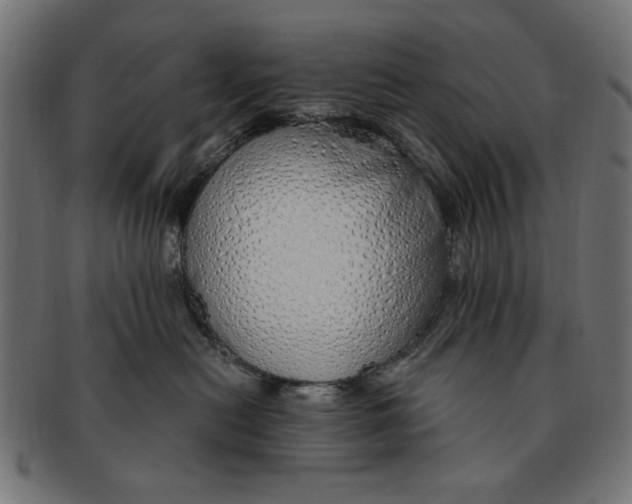 X0000091190478200709061017