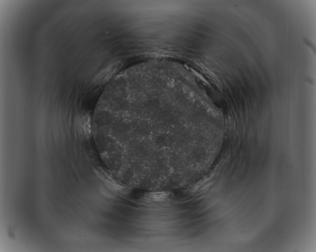 X0000091190479200709061018