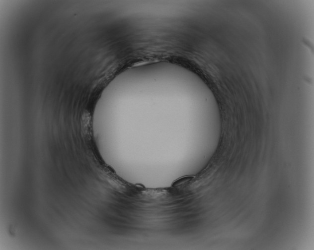 X0000091190480200709061018