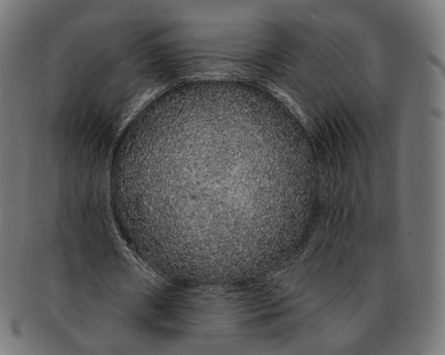 X0000091190482200709061017