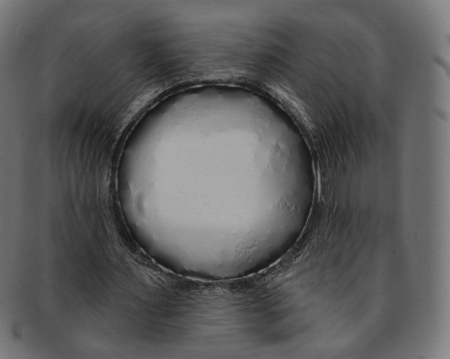 X0000091190483200709061017