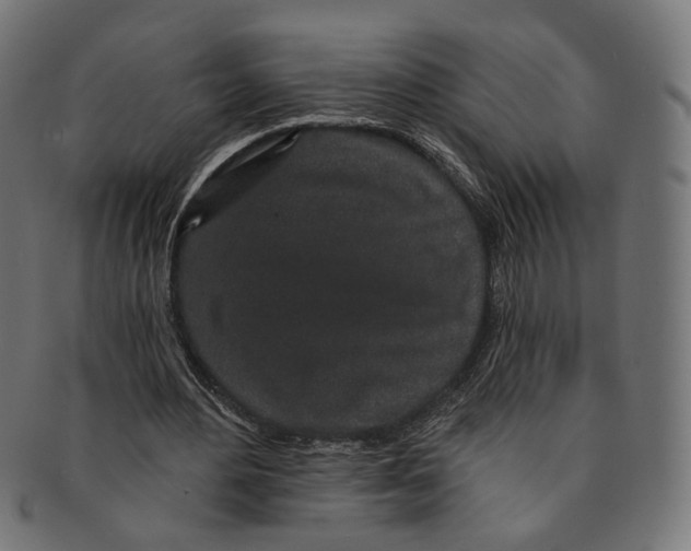 X0000091190484200709061017