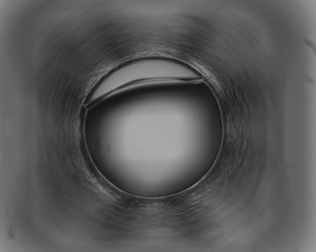 X0000091190485200709061017