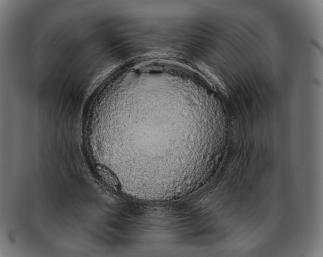 X0000091190486200709061017