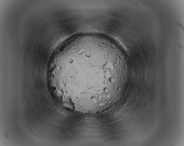 X0000091190487200709061017