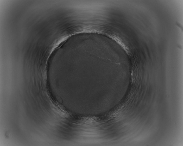 X0000091190488200709061017