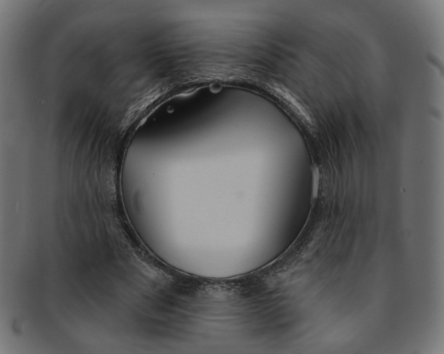 X0000091190489200709061017