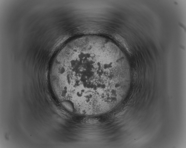 X0000091190491200709061016