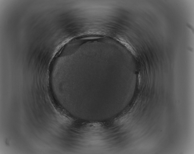 X0000091190492200709061016