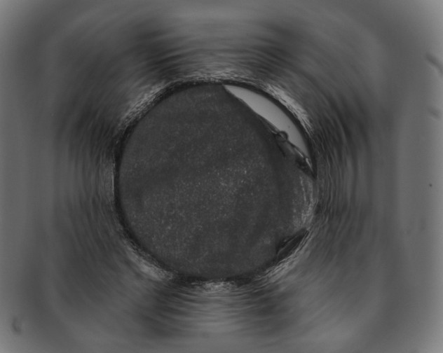 X0000091190493200709061016