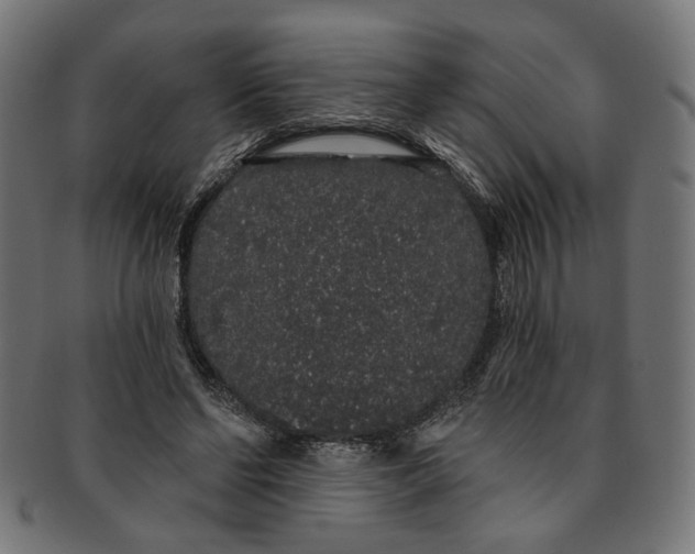 X0000091190494200709061016