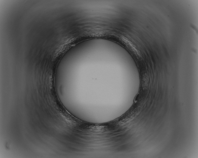 X0000091190497200709061016