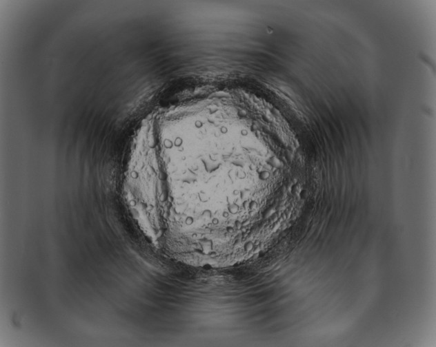 X0000091190499200709061016