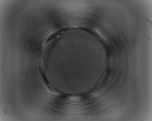 X0000091190500200709061016