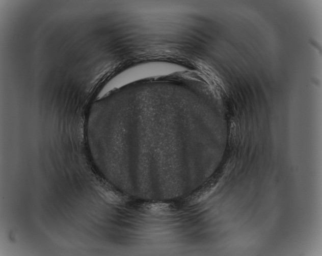 X0000091190501200709061016