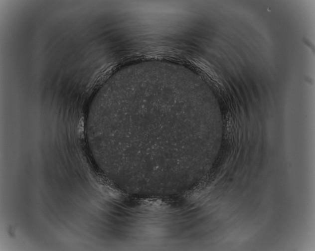 X0000091190502200709061016