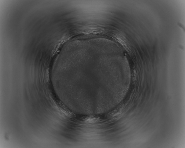 X0000091190504200709061016