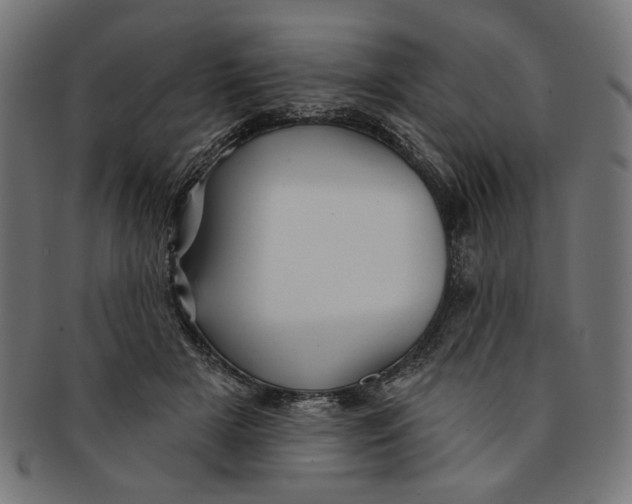 X0000091190505200709061016