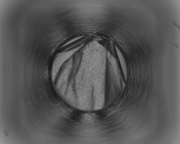 X0000091190508200709061016