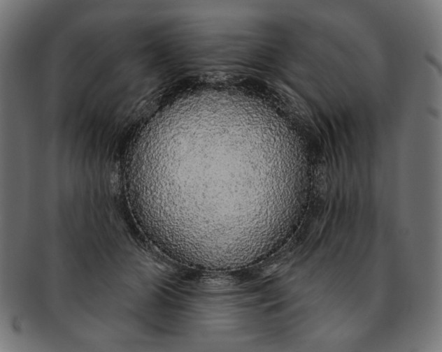 X0000091190510200709061016