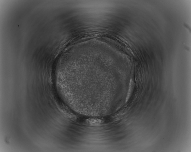 X0000091190512200709061016