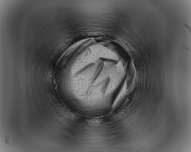 X0000091190513200709061016