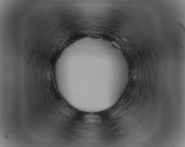 X0000091190515200709061016