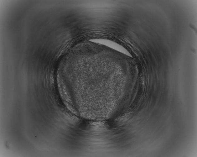 X0000091190516200709061016