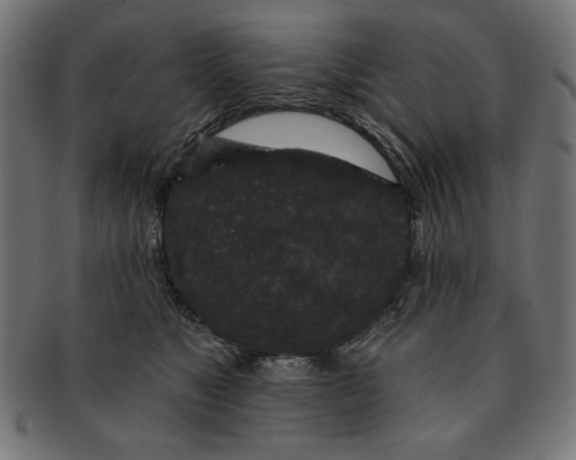 X0000091190517200709061016