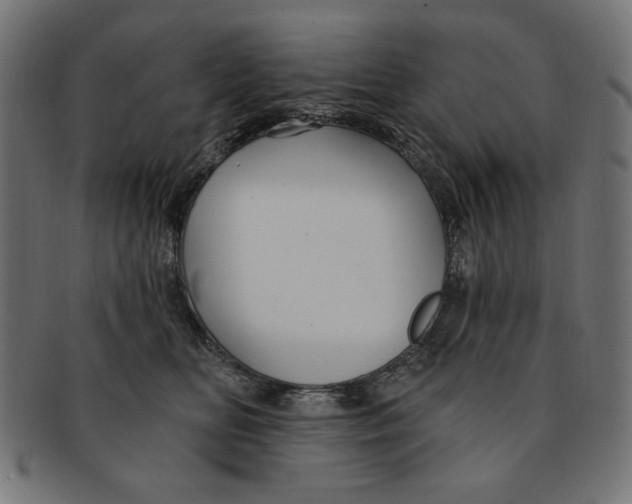 X0000091190518200709061016