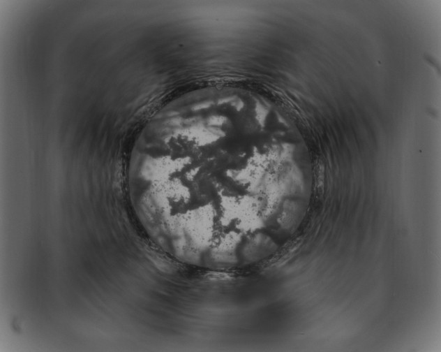 X0000091190519200709061016