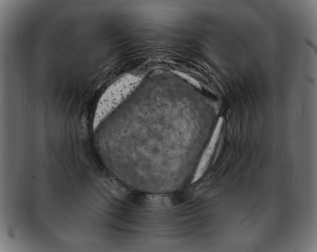 X0000091190520200709061016