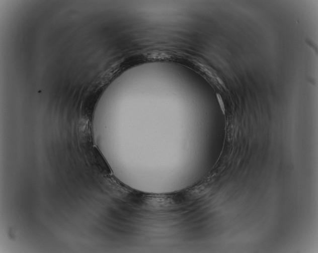 X0000091190521200709061016