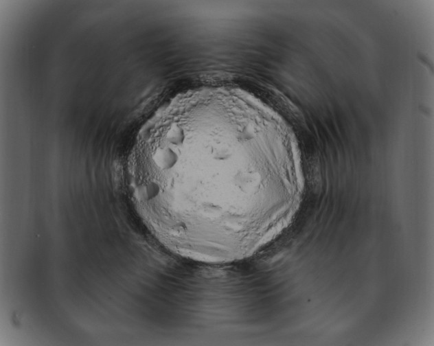 X0000091190523200709061016