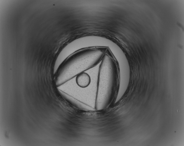 X0000091190524200709061016