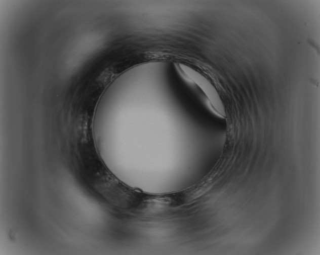 X0000091190525200709061016